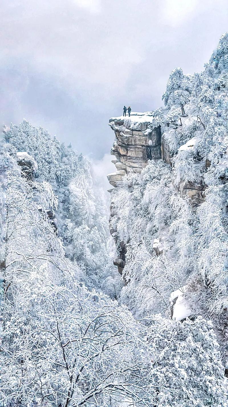 3月底了，庐山居然还下雪？