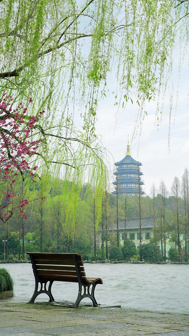 #杭州西湖风景区 景点打卡 感受春天的气息和美景