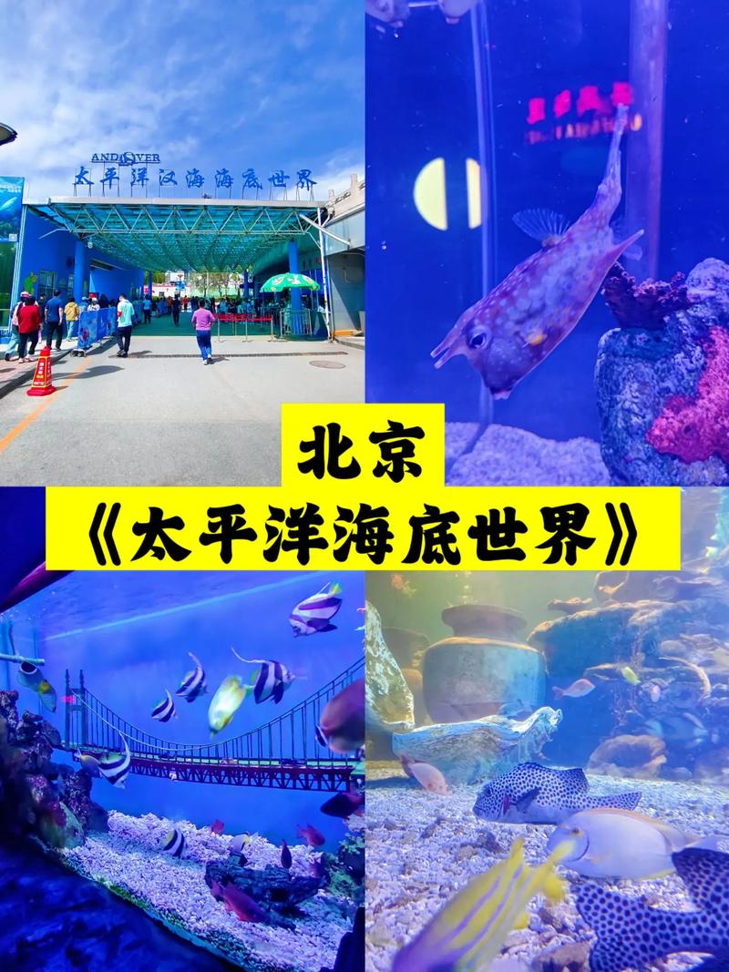 旅游 第75页