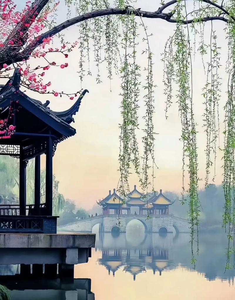 必打卡！海淀这里藏着“江南的春”