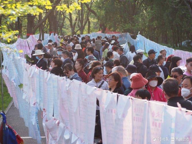 千佛山相亲大会火爆开幕，美女主播为你现场“巡山”牵线
