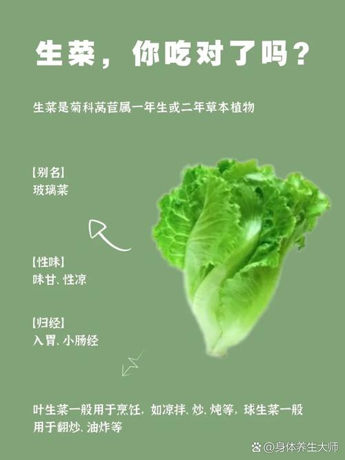 新鲜生菜入锅，健康生活从现在开始！