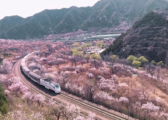 居庸关花海列车拍摄攻略（2025年）
