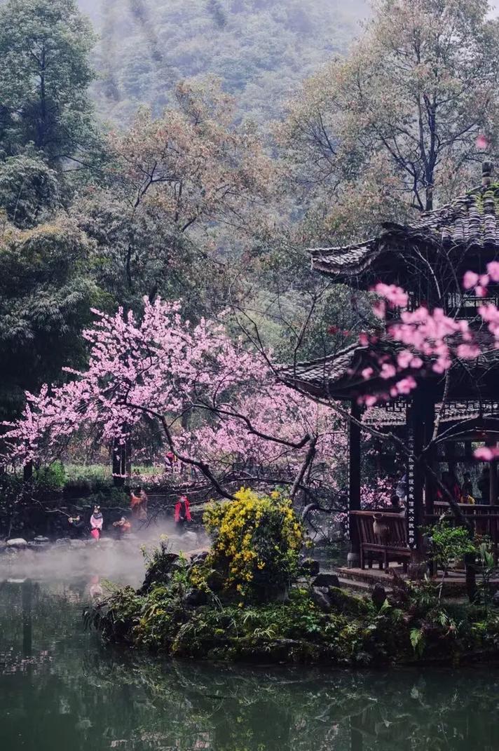 原来真正的桃花源藏在这里！99%的人没去过，绝对惊艳！