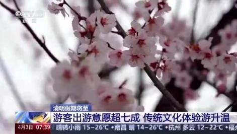清明假期周边游火爆，赏花民俗体验热度攀升