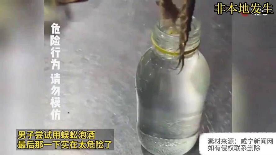 20厘米的蜈蚣放入53度白酒中，下一秒场面一度失控，太刺激了