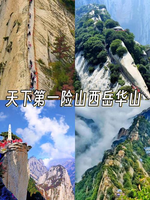 近日，陕西一景区发生的真人真事，大家快来看看