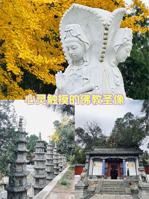 普照禅寺宁静时光
