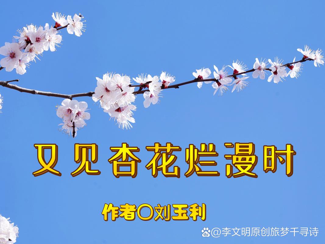 打破认识，你认为的“杏花村”可能是全国同名中的几十分之一