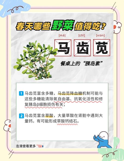 春吃野菜有讲究