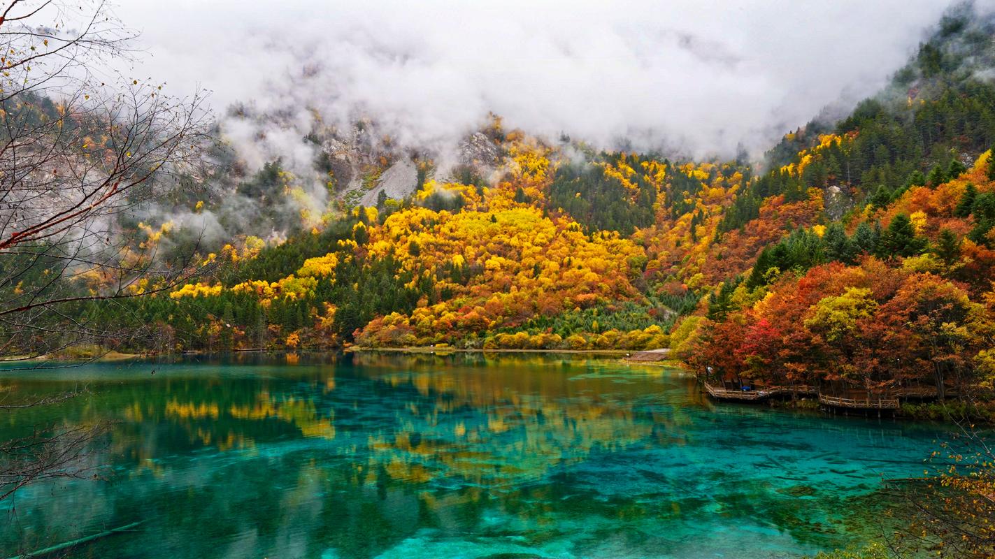 2025春日旅游新风向：沉醉在九寨沟的湖光花影里