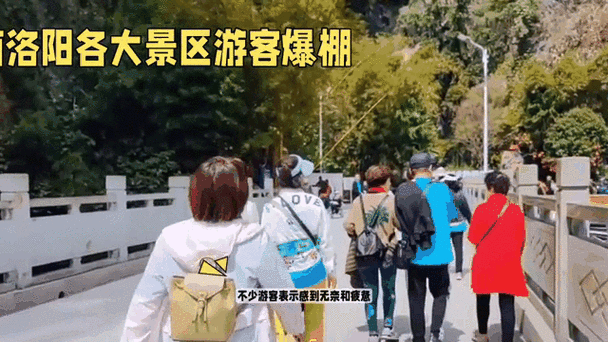 约满、限流！大批游客抵达洛阳！网友：人人人人人我人人人人人.