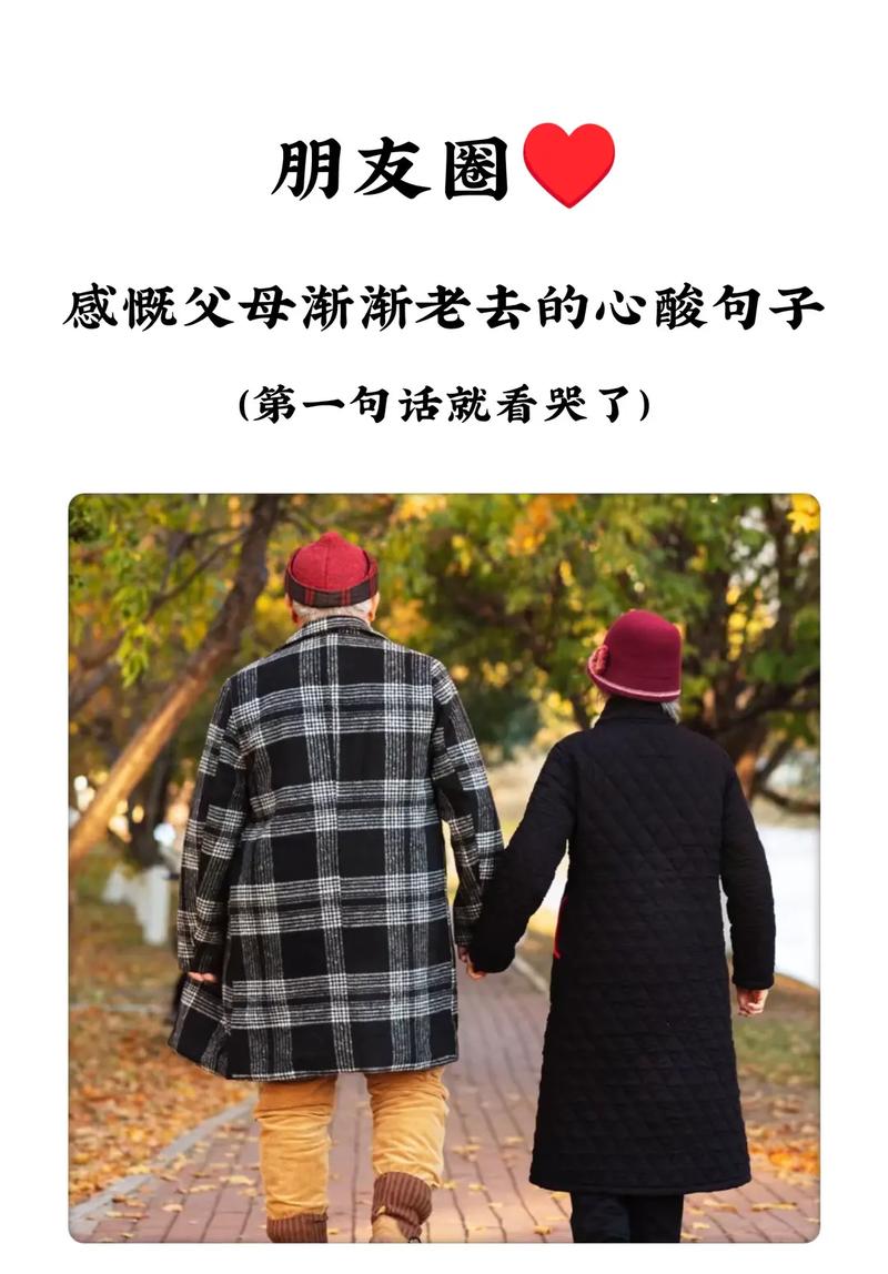 父母老了，来日本旅游，路也走不动了，让人心酸