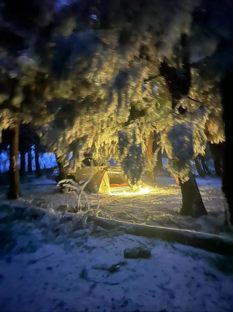 沉浸式体验一场雪天露营,这才是真正的热爱露营生活,你们爱吗?