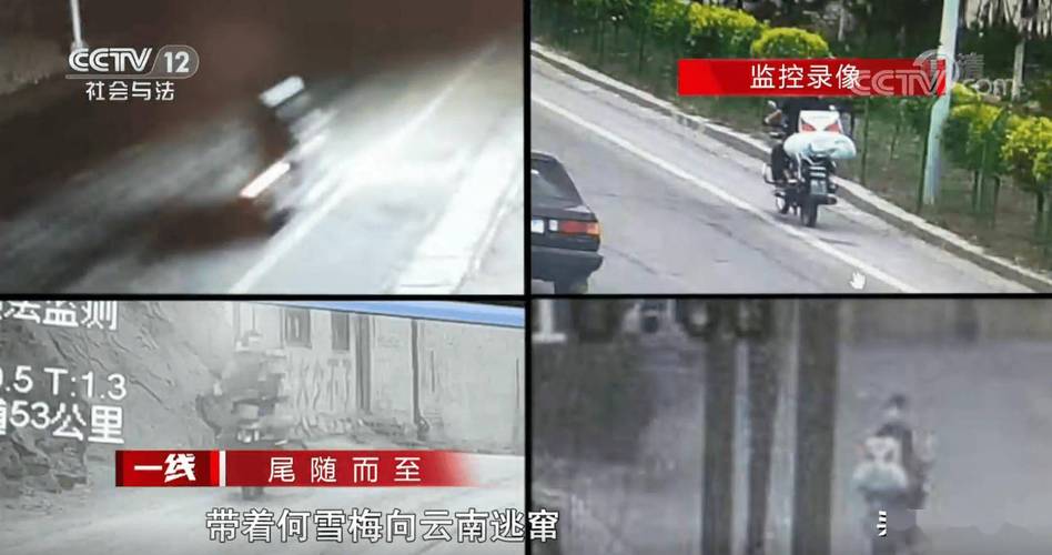 舞协高层接连落马 天网恢恢显神威！美貌处长贪婪本性暴露 引发热议