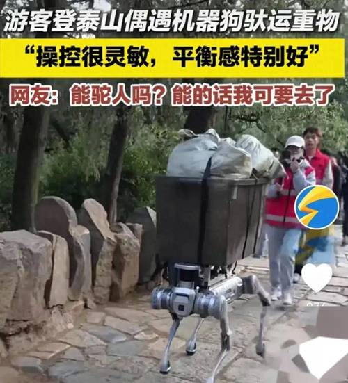 大批机器人涌入景区：登山神器、引流“社牛”还要打造IP