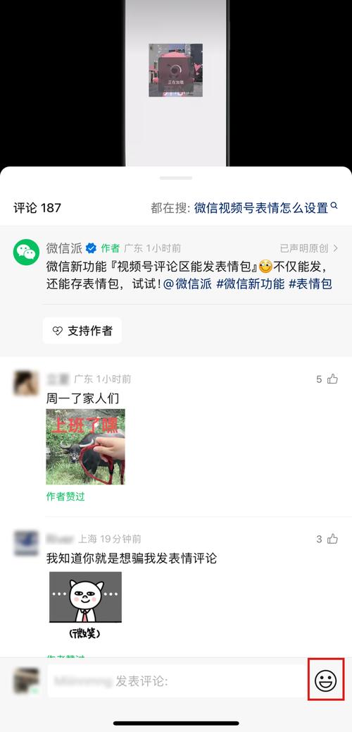 微信又上新功能！网友：漂亮，等这好久