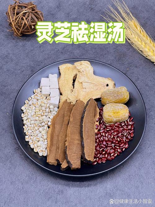 广东人偷偷用的“祛湿第一宝”南方特产，有7大特点和5种功效