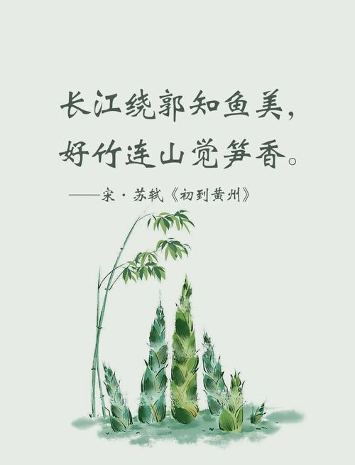 #春雷惊破笋龙衣—春日寻味话竹笋