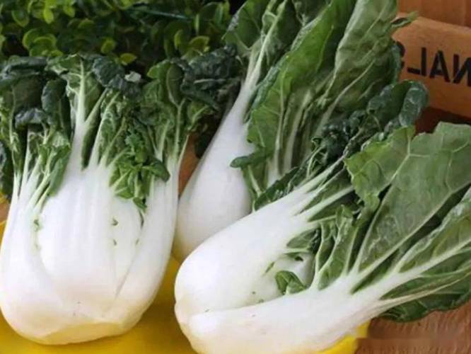家里有白菜注意！若出现这“4种”情况就赶紧扔掉，不信要吃亏