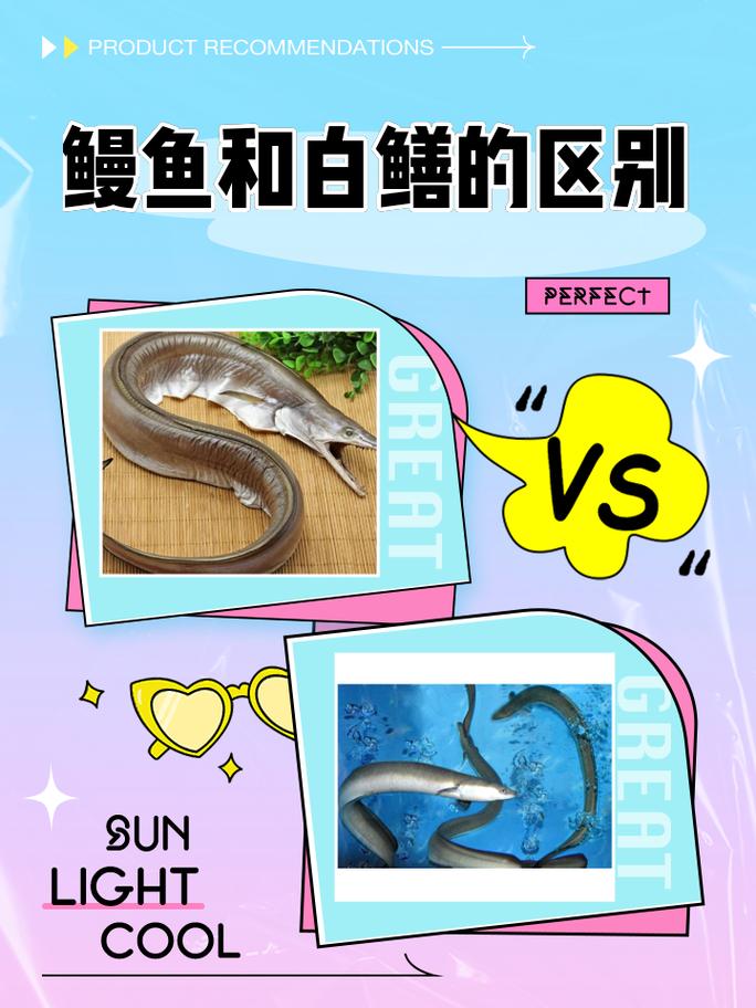 谁在冒充谁？日本鳗鱼与广东白鳝的百年暗战