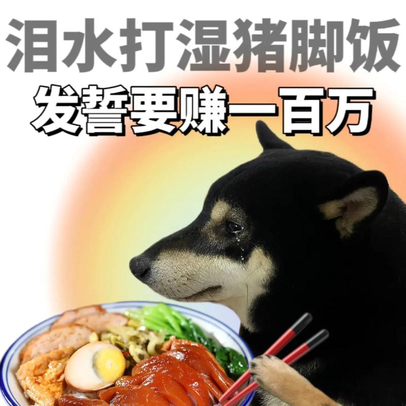 2025年4月17日 第7页