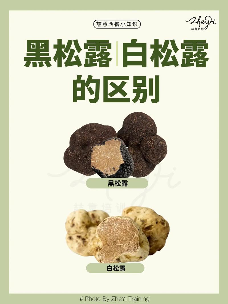为什么松露这么贵？揭开你所不知道的松露奥秘