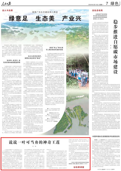 人民日报直播！浙江日报关注！莲都成为全国焦点