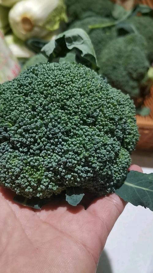 小小的西兰花竟然这么可怕，你知道吗？