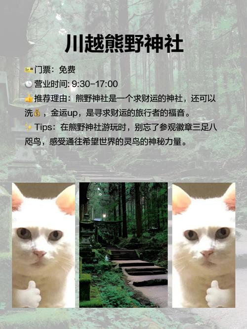 第二次去川越，发现更多好玩的东西