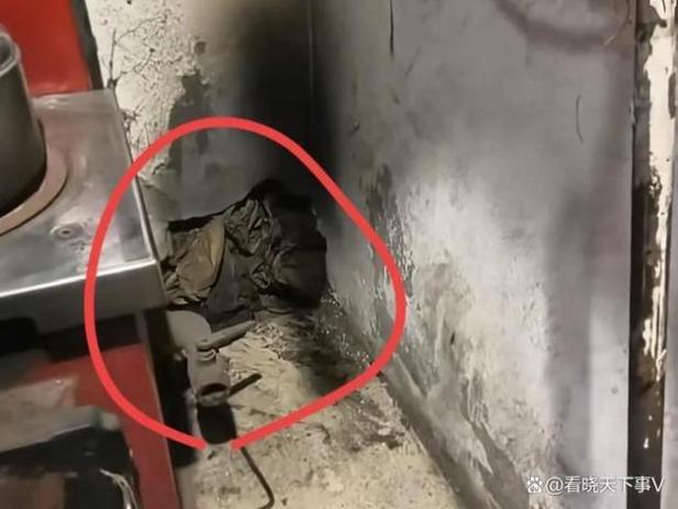 浙江女子家中现金没地儿搁！重达四吨，网友：这钱山能把房子压塌