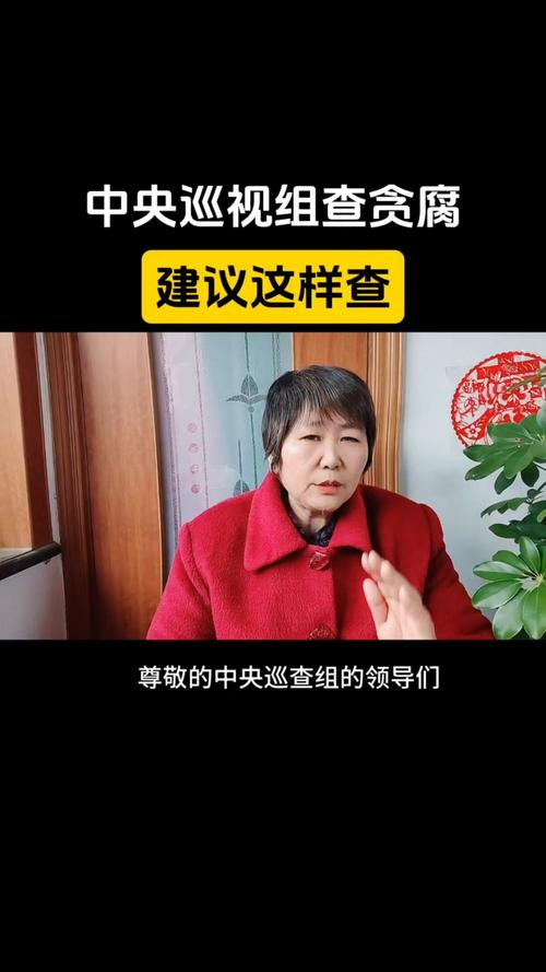 中央巡视组才刚到吉林，长春这个女领导就被查了，长得怪好看的！