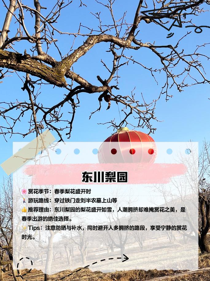 庆阳宁县：山水雨落坪·田园花海游|系列文化活动预告
