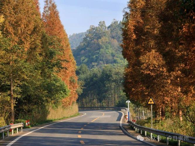 四川崇州重庆路最美乡村公路道明至宝峰全程行车记录