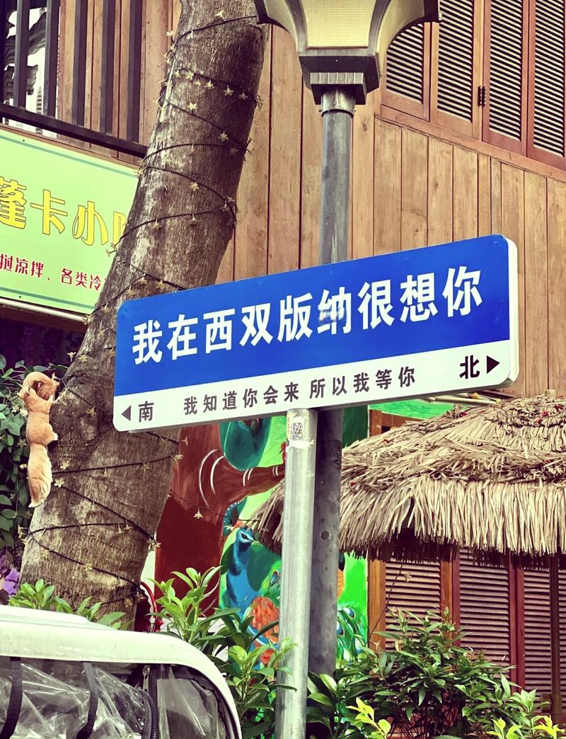 来场说走就走的旅行，西双版纳我来了