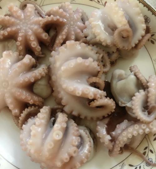 兴森一家：今天享用美味的香辣八爪鱼?看着也太有食欲了！