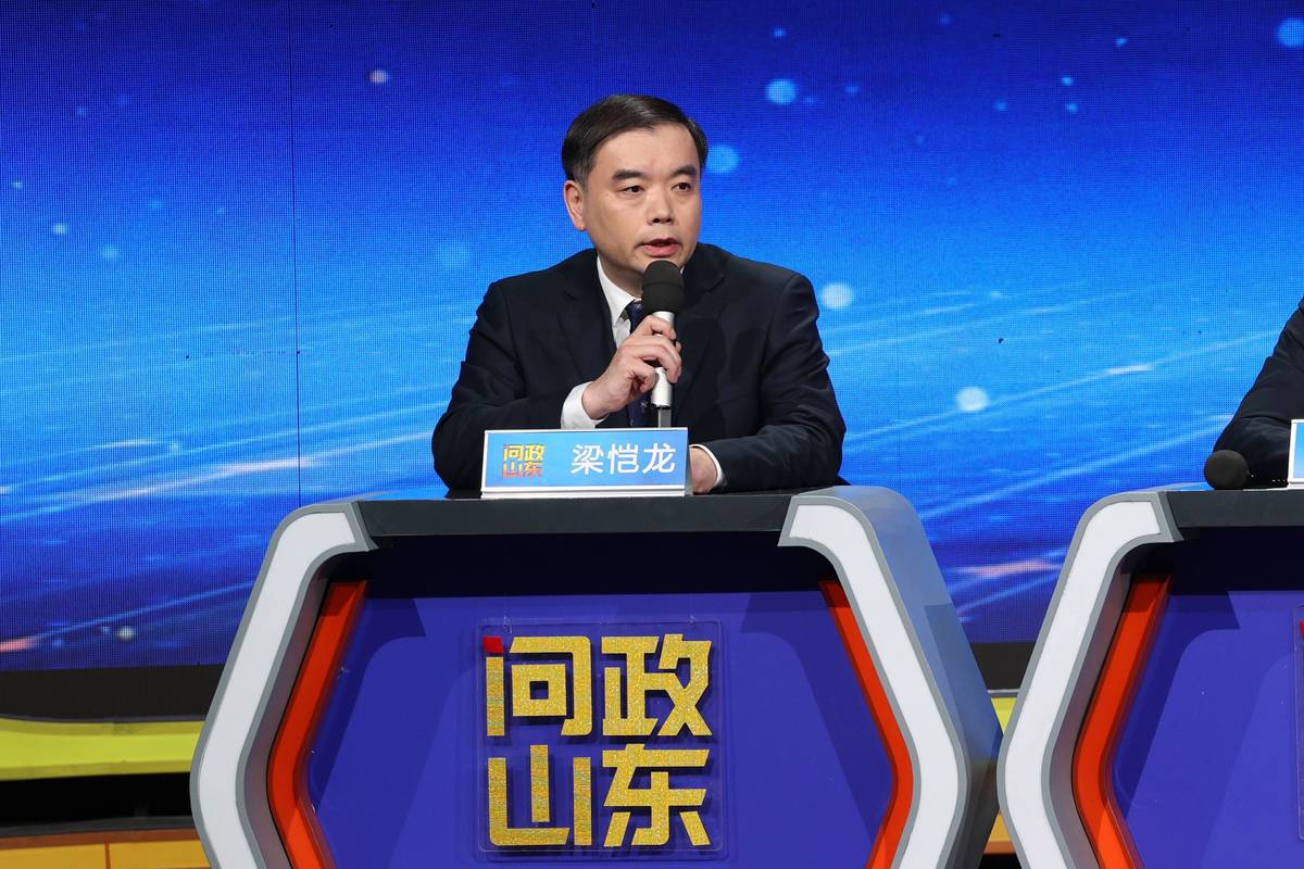 问政山东市长亲临现场我辞职前先把你给免了李莎直击