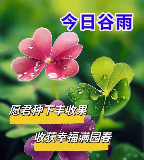 2025年4月20日今日谷雨 早上好 早上好温馨问候语 最新谷雨节气图片