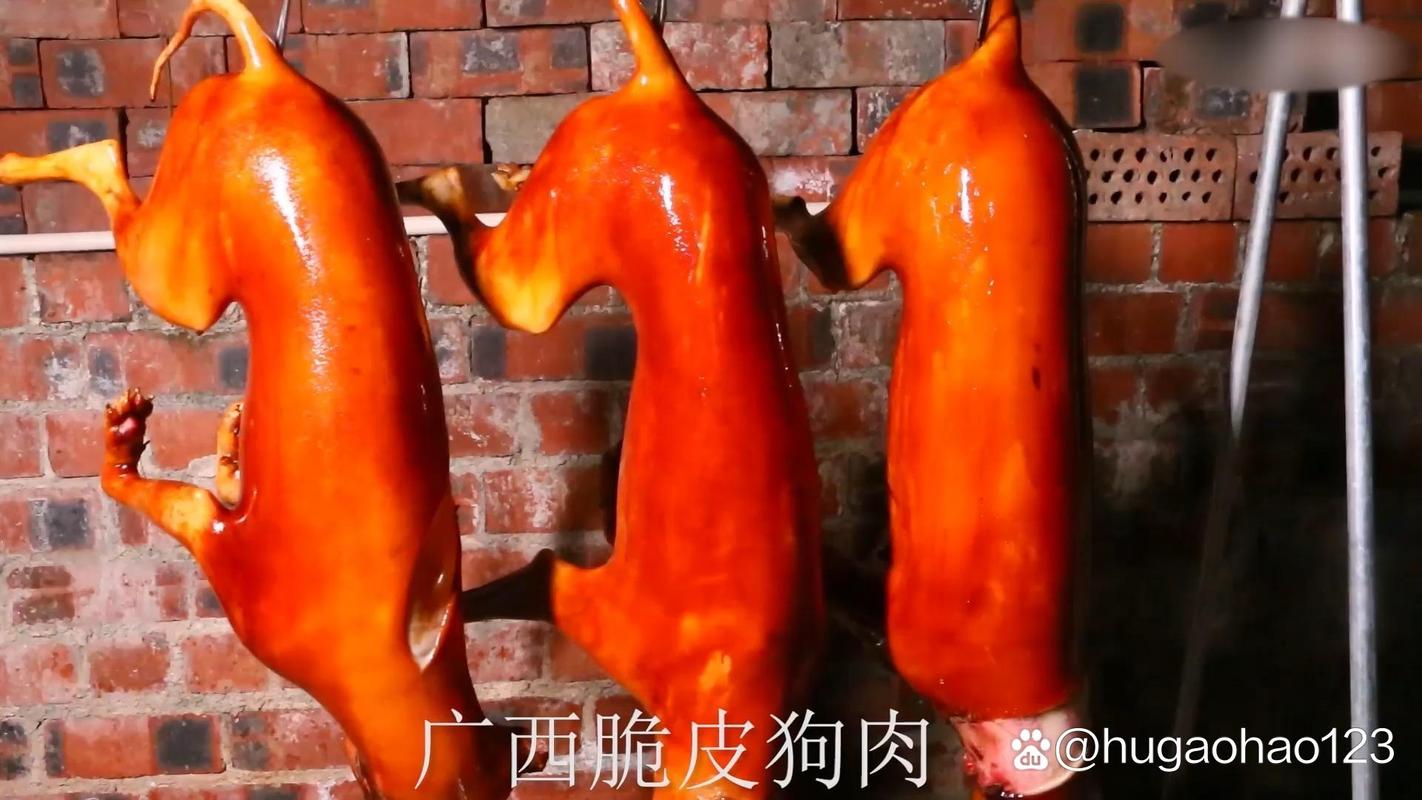 玉林大叔祖传做脆皮狗肉，日淋20条，黑龙江大哥说爱狗吃狗不矛盾
