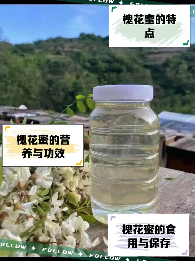 不再被坑！学会辨别槐花蜜真假，了解正宗槐花蜜