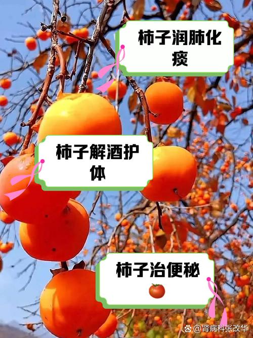 为什么说“一个柿子五副药”柿子有啥作用和禁忌？一文说清楚