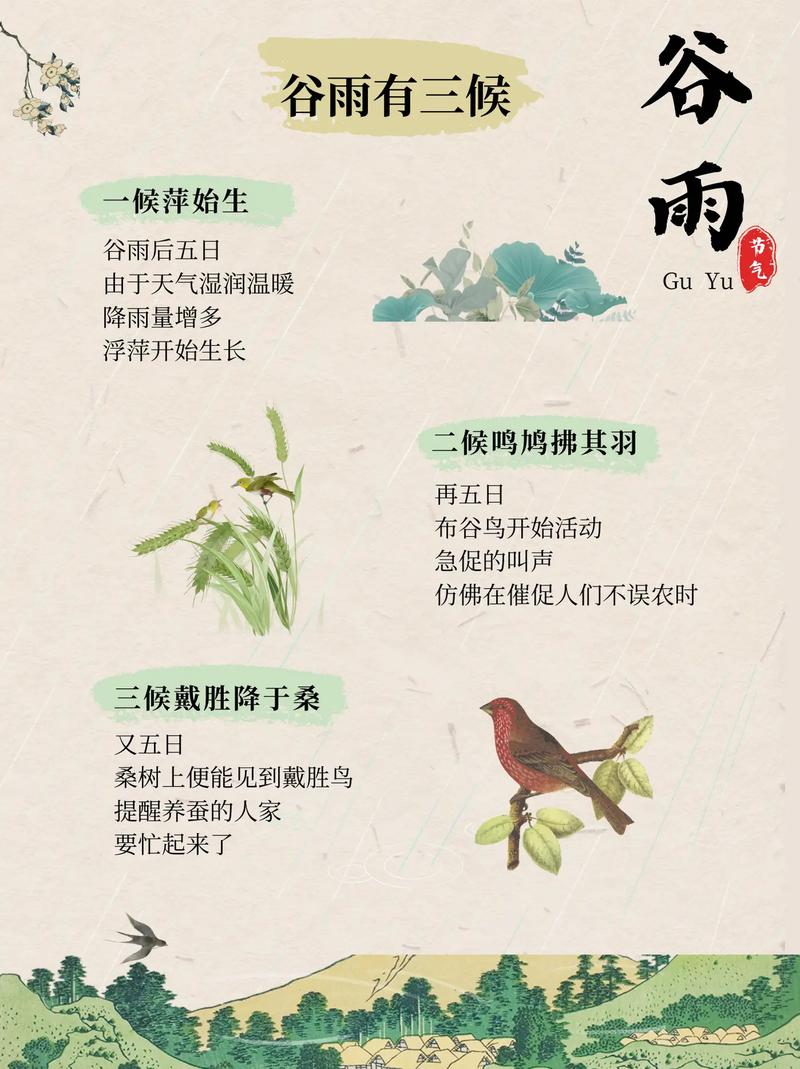 “俩六月热不热，就看谷雨第二天”谷雨第二天有啥说法？