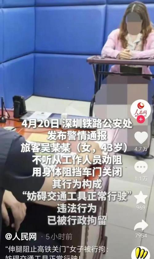 央视转发！女子强拦高铁后续：已被处理，身份曝光，年纪反差巨大
