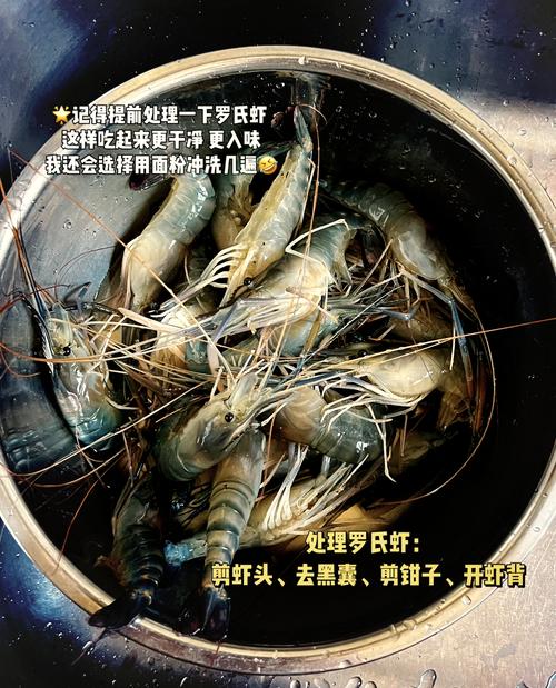 2025年4月24日 第137页
