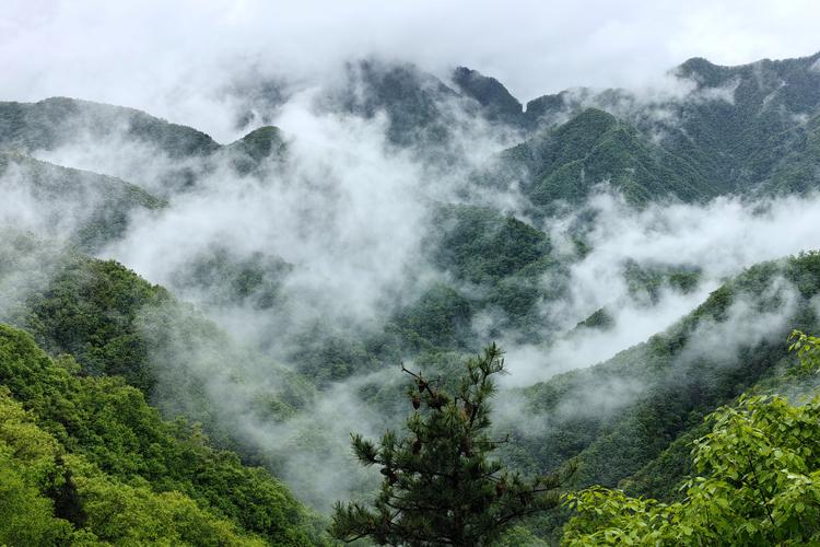 秦岭分水岭看云