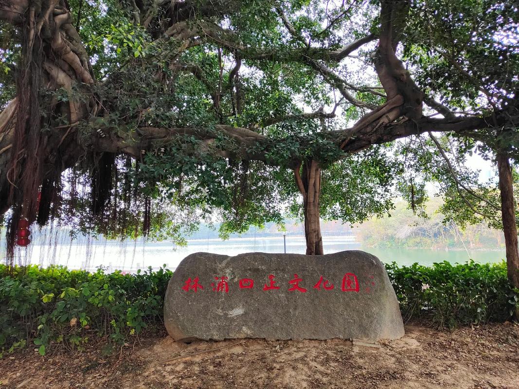 旅游 第55页