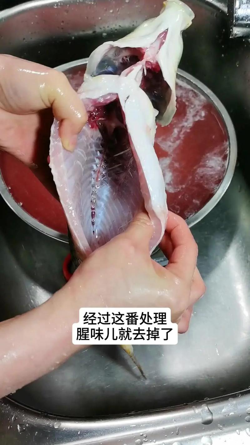 大妈拿来一条奇特的鲤鱼找代杀，一刀切开傻眼了，一大包鱼子