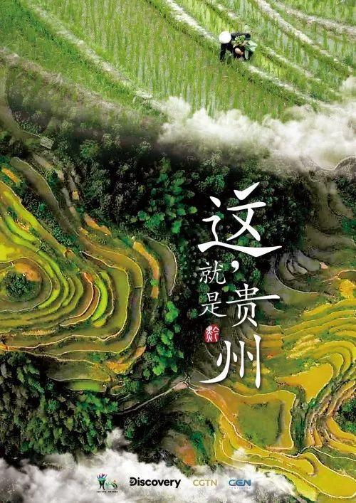 贵州官方宣传片意外走红网络！这哪里是贵州！分明是国际化大都市