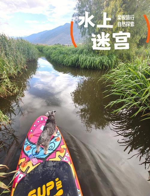 第一次划桨板探秘来宾水牛山地下河，神秘河水通向哪里？惊险刺激