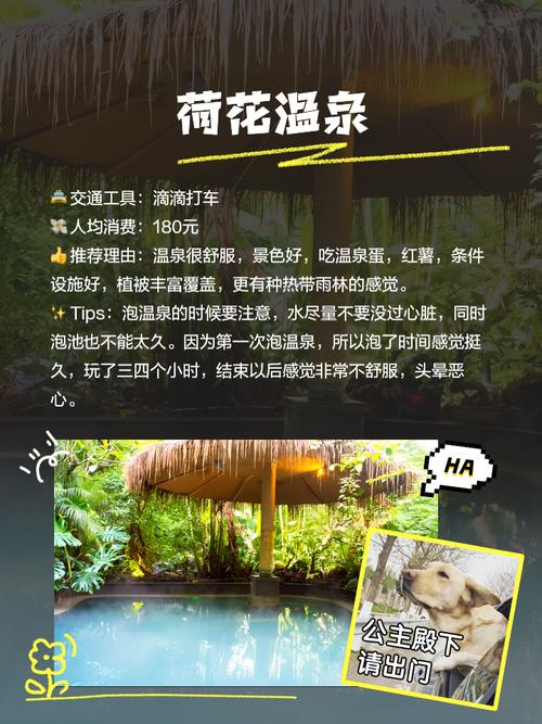 腾冲攻略 温泉、鲜花、水果、咖啡、自由